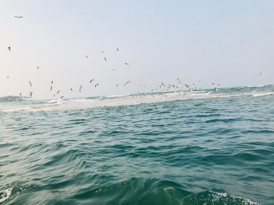 Photo of Weekend in Tarkarli by Travelisafeeling