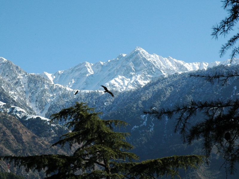 Photo of Travel Hiking in Dharamsala & Kasol 8 Day Itiniery : Day 1-3 by deepanshu garg