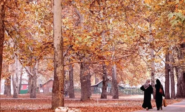 Photo of Jammu and Kashmir by deepanshu garg