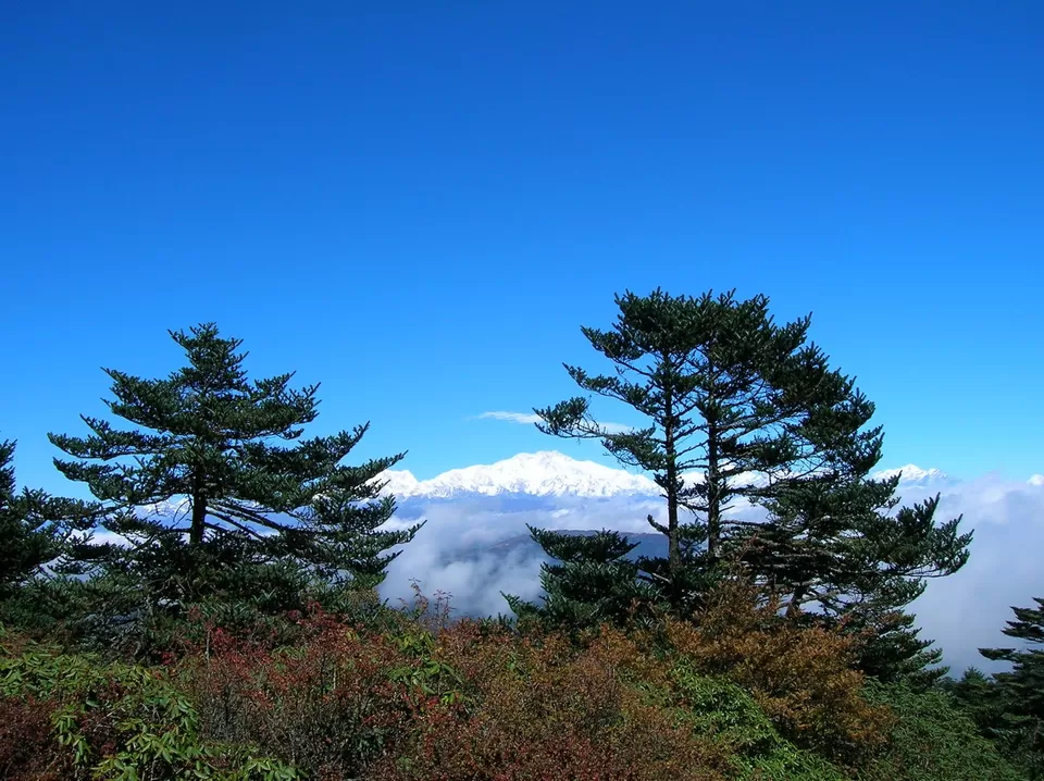 Photo of Darjeeling, West Bengal, India by deepanshu garg