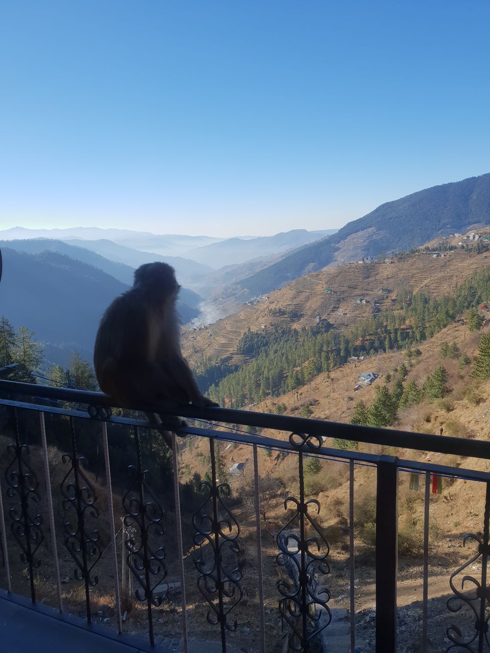 Photo of Reckong Peo, Himachal Pradesh, India by Saksham Bhatnagar