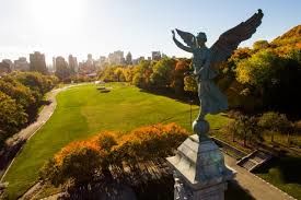 Photo of A perfect guide to Montreal: Explore, Indulge & Stay 1/10 by Shalmaliee
