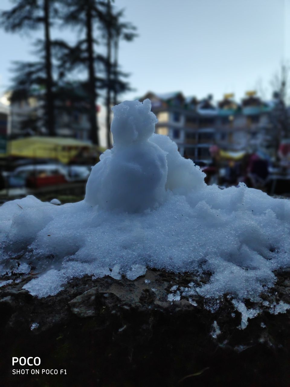 Photo of Hadimba Devi Temple, Old Manali, Manali, Himachal Pradesh, India by ayush raj