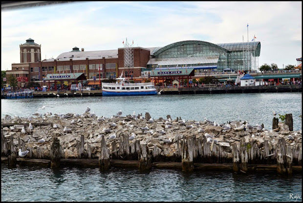 Photo of Chicago architectural boat tour 20/22 by rajiv