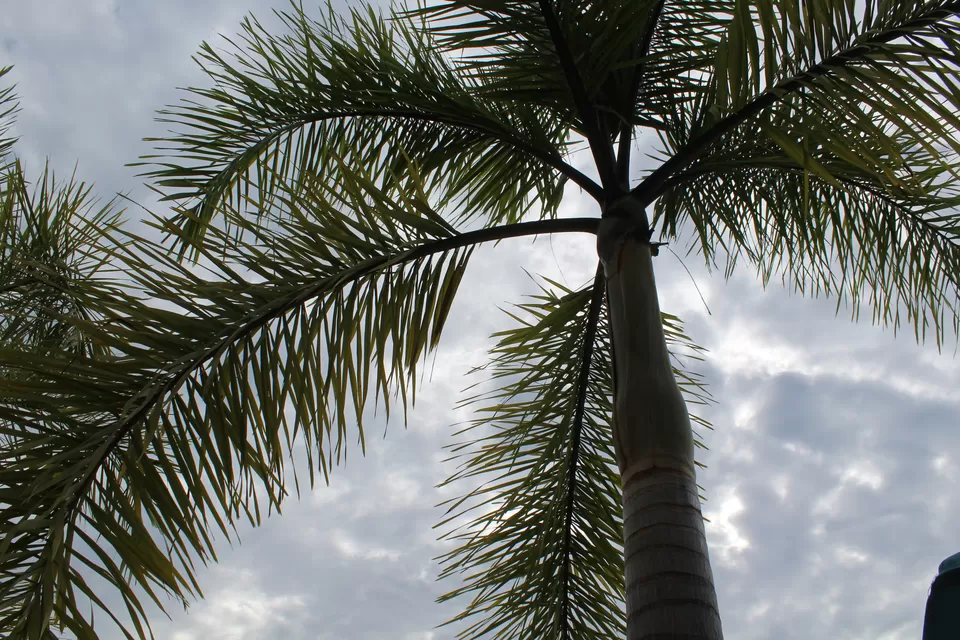 Photo of dayang bay resort, Kuah, Kedah, Malaysia by Swayam Subudhi- The desi v/blogger