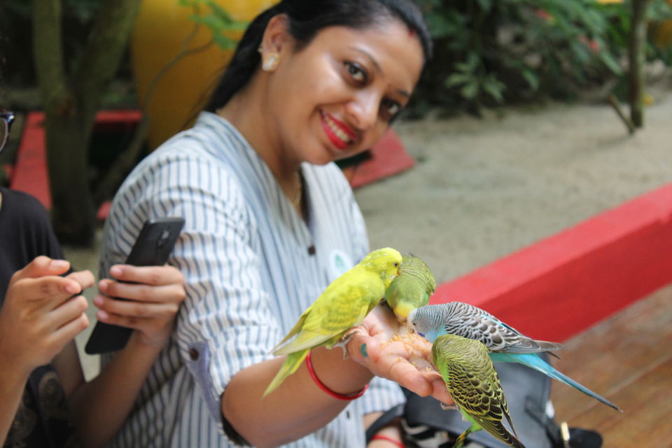 Photo of Langkawi Wildlife Park, Jalan Ayer Hangat, Kampung Belanga Pechah, Langkawi, Kedah, Malaysia by Swayam Subudhi- The desi v/blogger