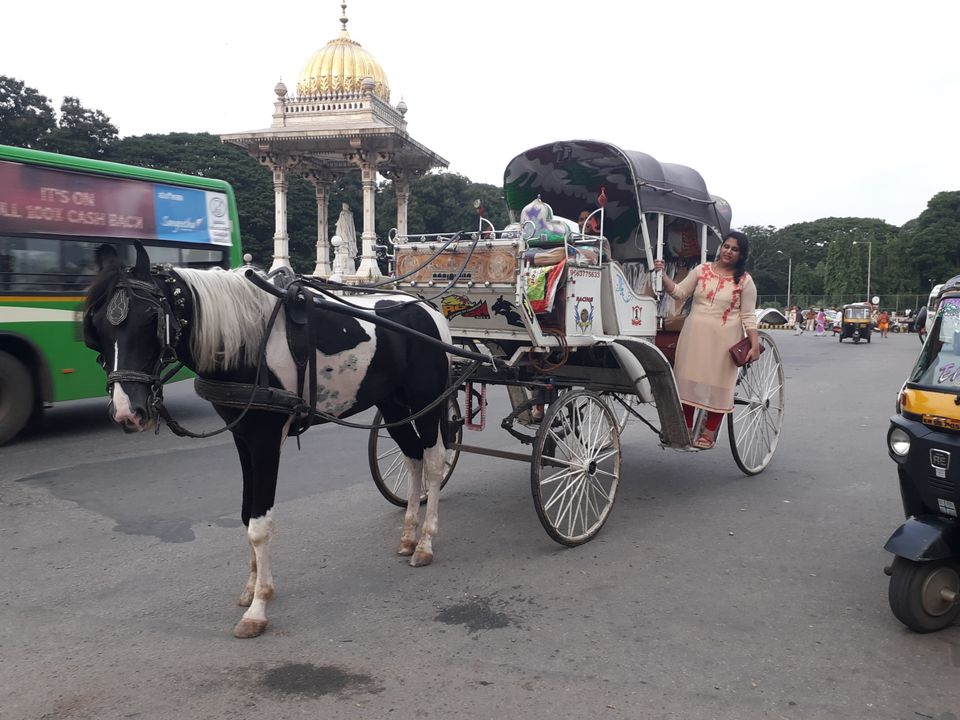 Photo of Mysuru, Karnataka, India by Vishnu Prasad