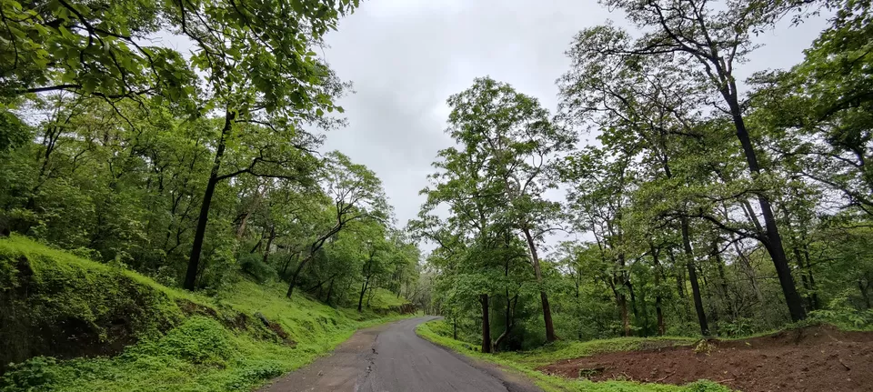 Photo of Hidden gems of Gujarat-Dang by Krunal Patel