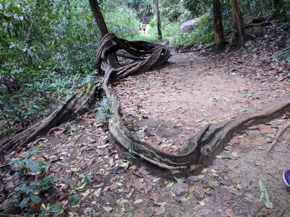 Photo of My rendezvous with God’s own Country: Trip to Trivandrum 10/10 by Nashra Syed