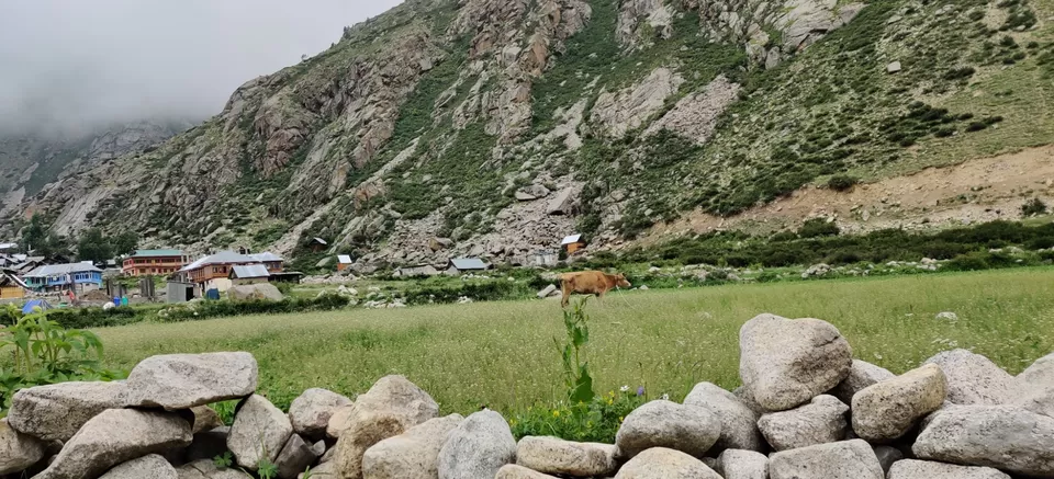 Photo of Chitkul, Himachal Pradesh, India by Sushmita
