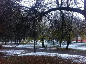 Photo of Timișoara, Județul Timiș, Romania by Surya