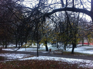 Photo of My First Impressions of Romania 8/11 by Surya