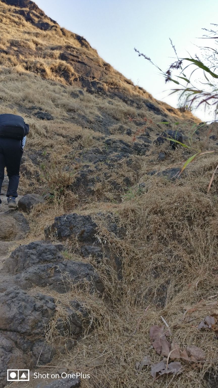 Photo of WOW Team at Dhak Fort by Chaitrali Deolekar