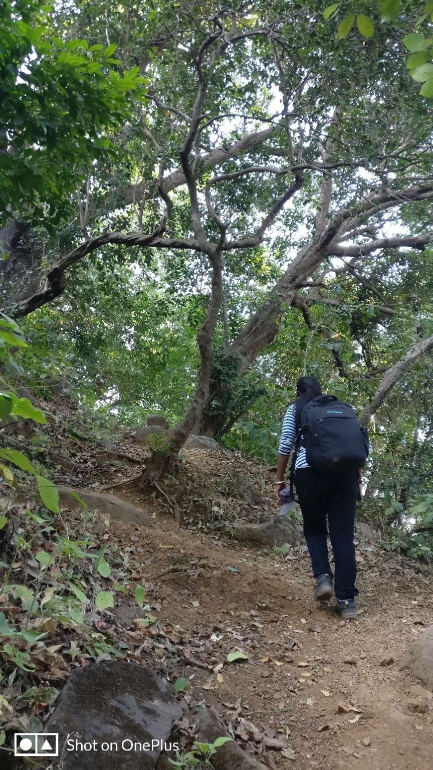 Photo of WOW Team at Dhak Fort by Chaitrali Deolekar