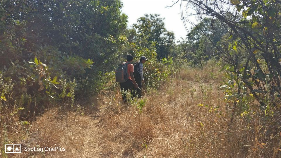 Photo of WOW Team at Dhak Fort by Chaitrali Deolekar
