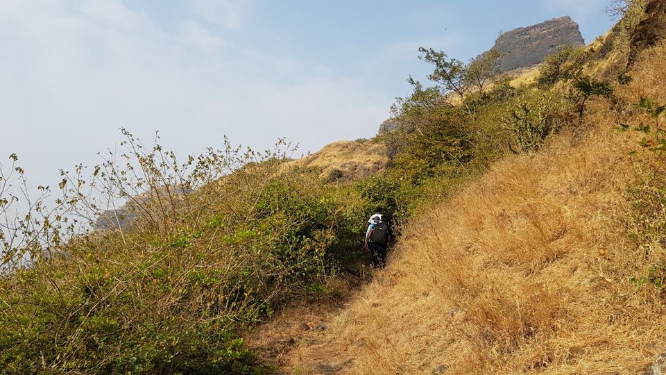 Photo of Koldher - Trekking in Sahyadri by Week Off Wanderers