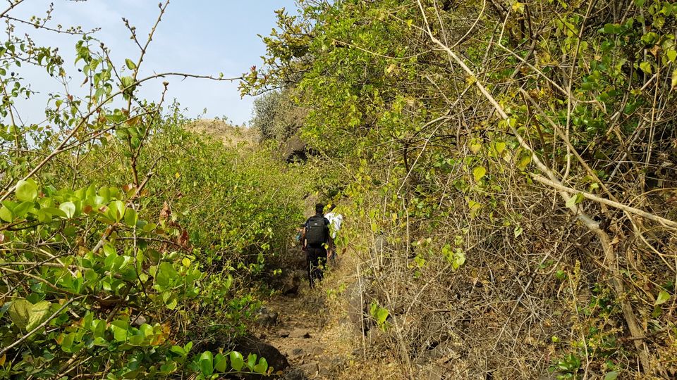 Photo of Koldher - Trekking in Sahyadri by Week Off Wanderers