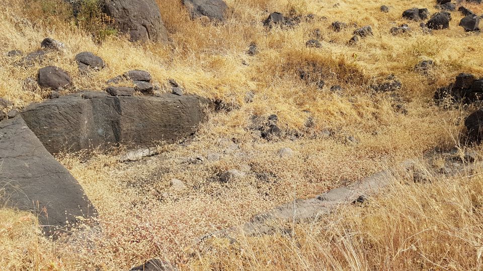 Photo of Koldher - Trekking in Sahyadri by Week Off Wanderers
