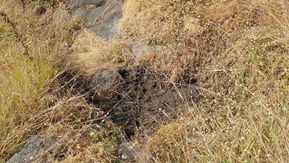 Photo of Koldher - Trekking in Sahyadri by Week Off Wanderers