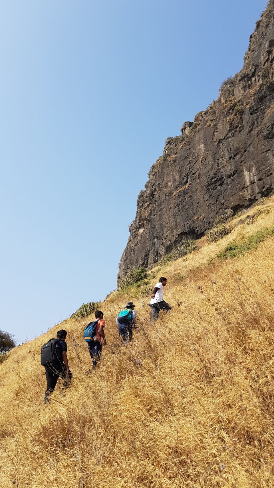 Photo of Koldher - Trekking in Sahyadri by Week Off Wanderers