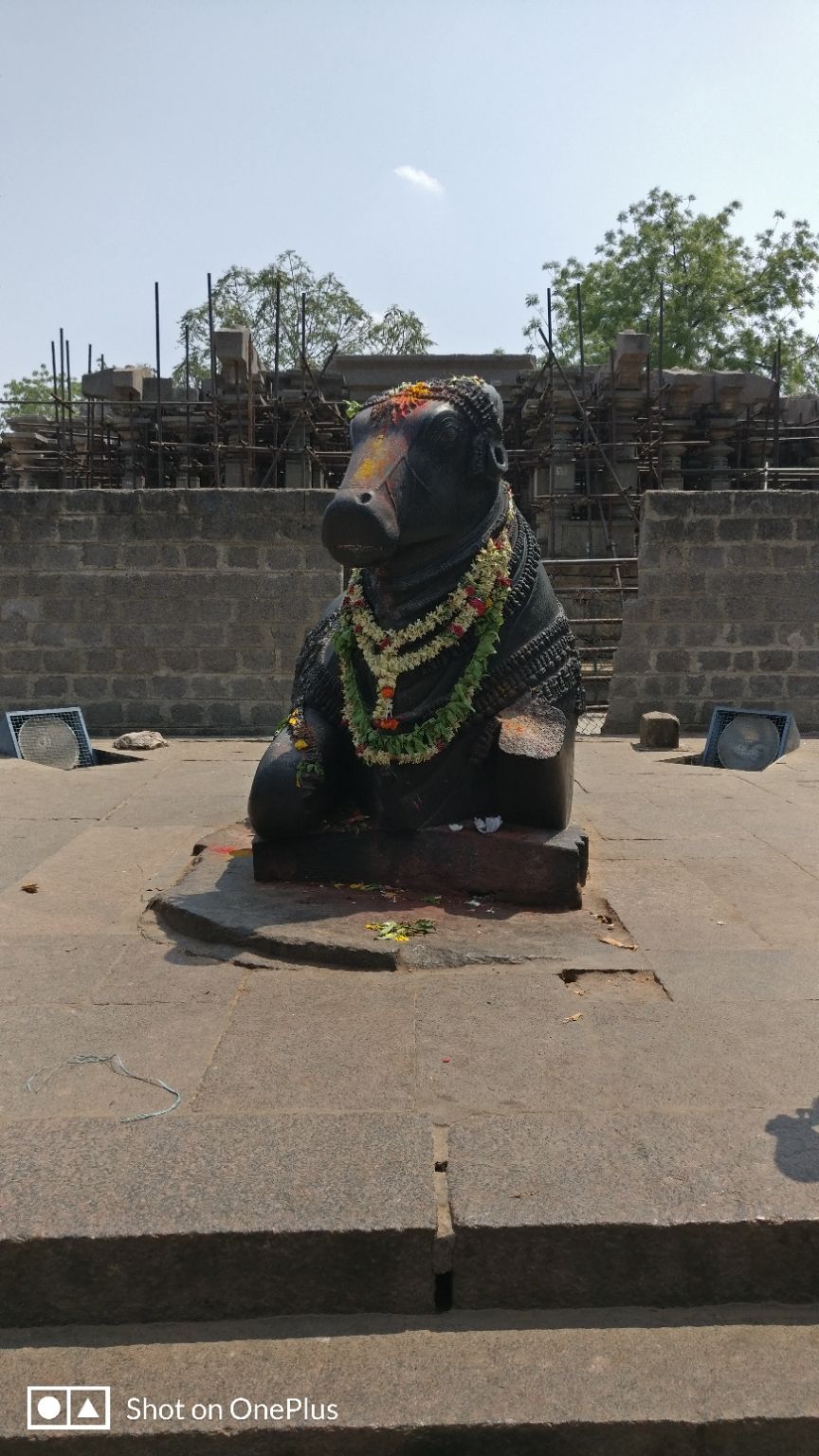 Photo of Warangal- Once the capital of Kakatiya's by Chaitrali Deolekar