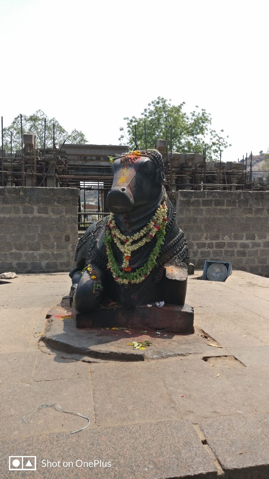 Photo of Warangal- Once the capital of Kakatiya's by Chaitrali Deolekar