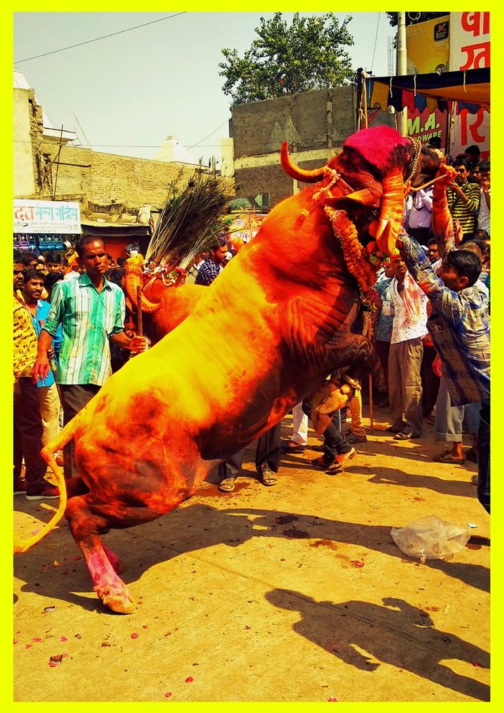 Photo of You Must Experience These Festivals of ''Aurangabad " ADITTYA 2/4 by Adittya Aher (travellttude)