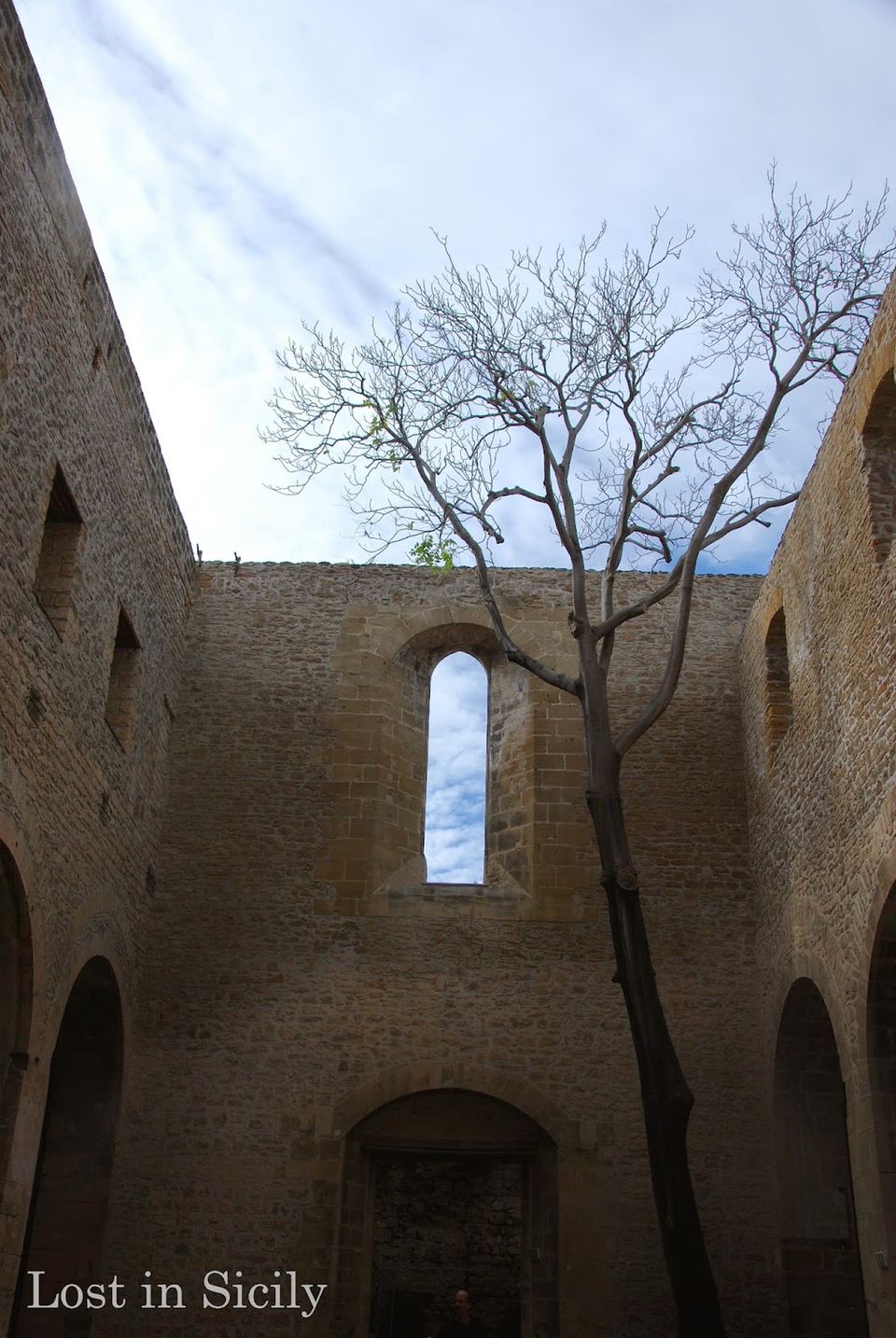 Photo of A peek into Palermo 4/8 by Kara