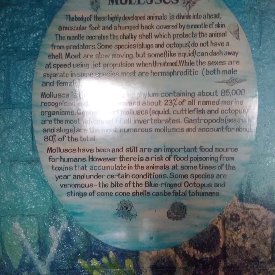Photo of Gulf of Mannar- Museum by RSHANKA