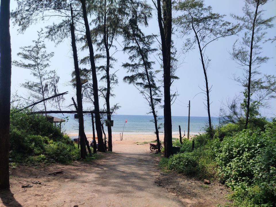 Photo of Vengurla Beach by Nikhil