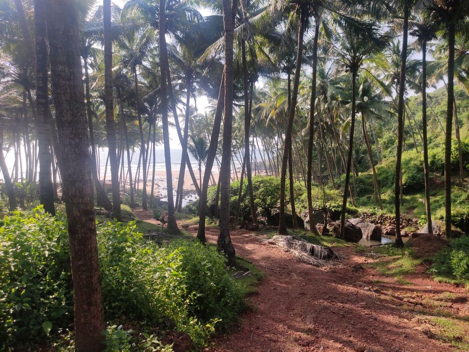 Photo of Vengurla Beach by Nikhil
