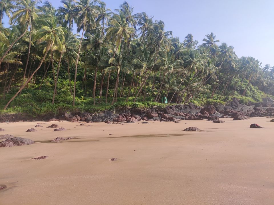 Photo of Vengurla Beach by Nikhil