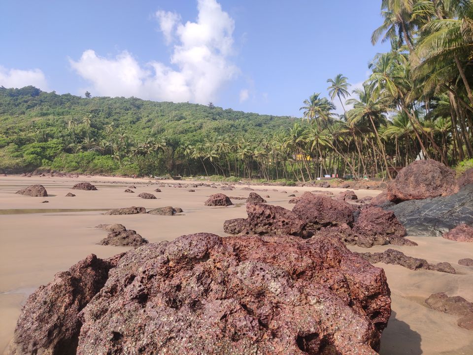 Photo of Vengurla Beach by Nikhil