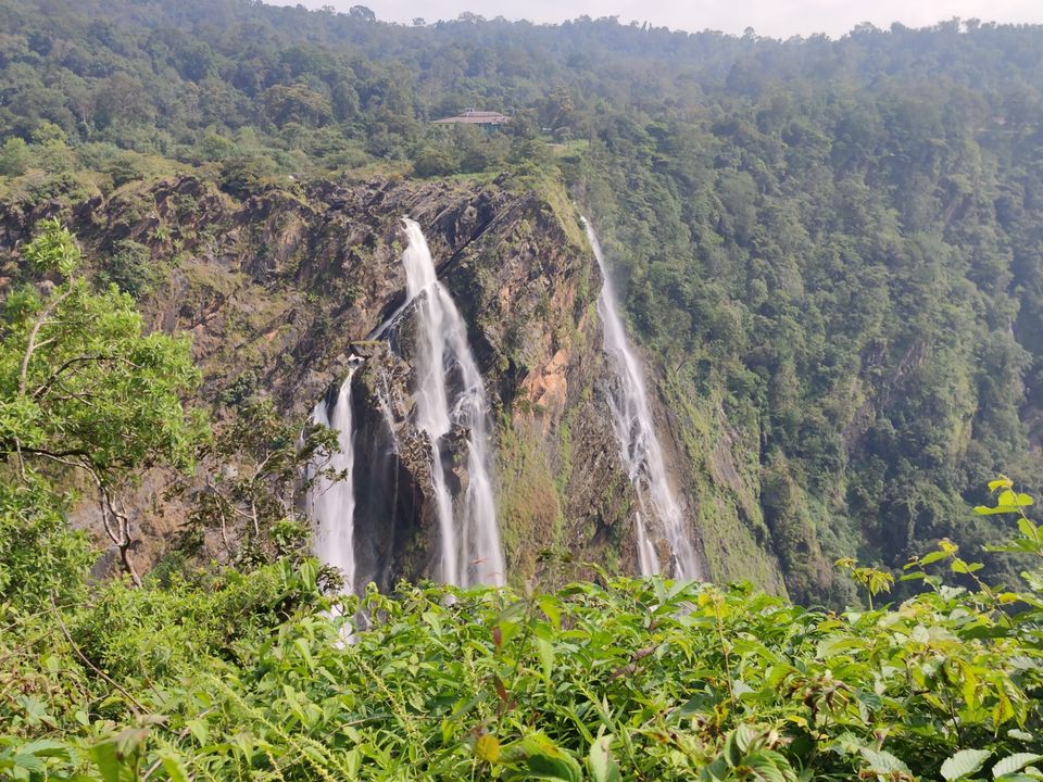 Photo of Jog Falls by Nikhil