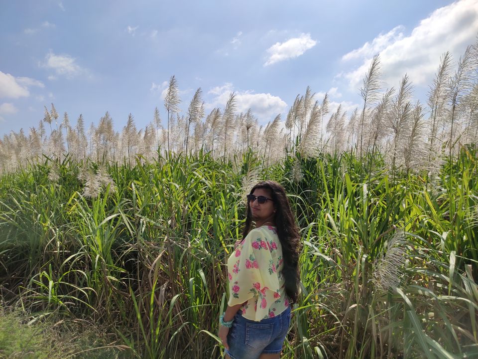 Photo of Almatti by Nikhil