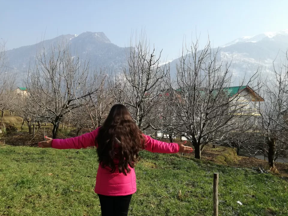 Photo of Snowfall in Manali by Nikhil