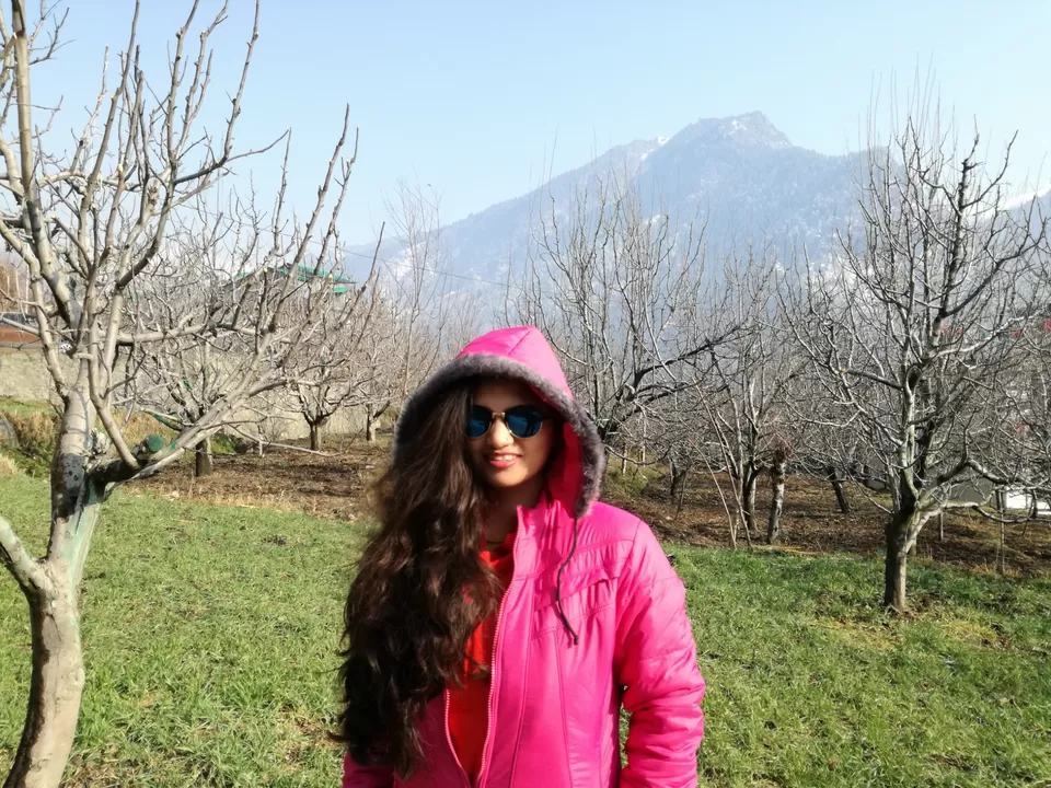 Photo of Snowfall in Manali by Nikhil