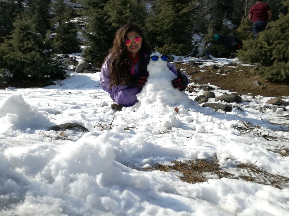 Photo of Snowfall in Manali by Nikhil