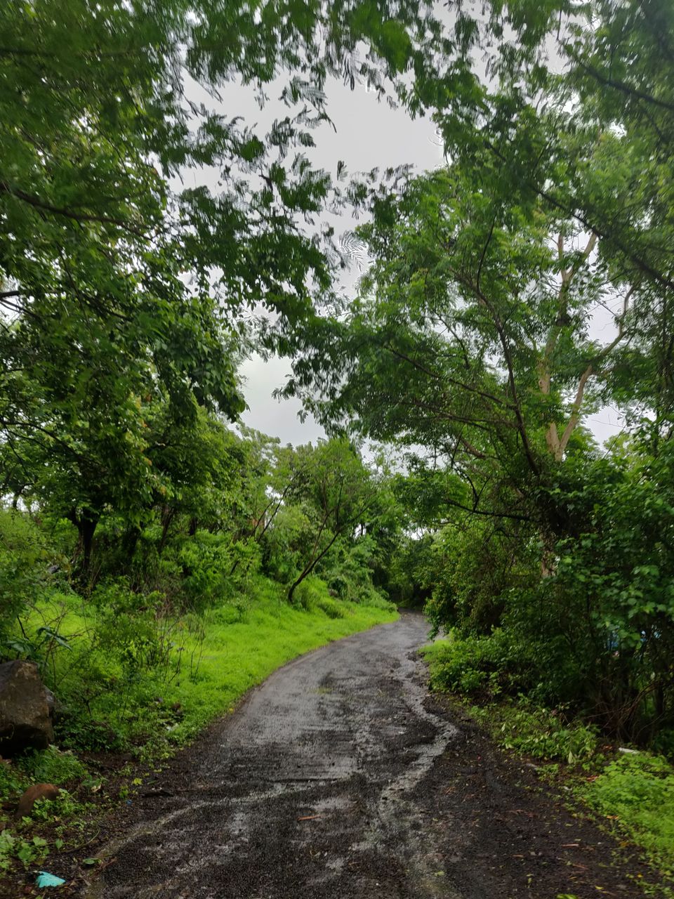 Photo of Pune Nilkantheshwar by shubham swami