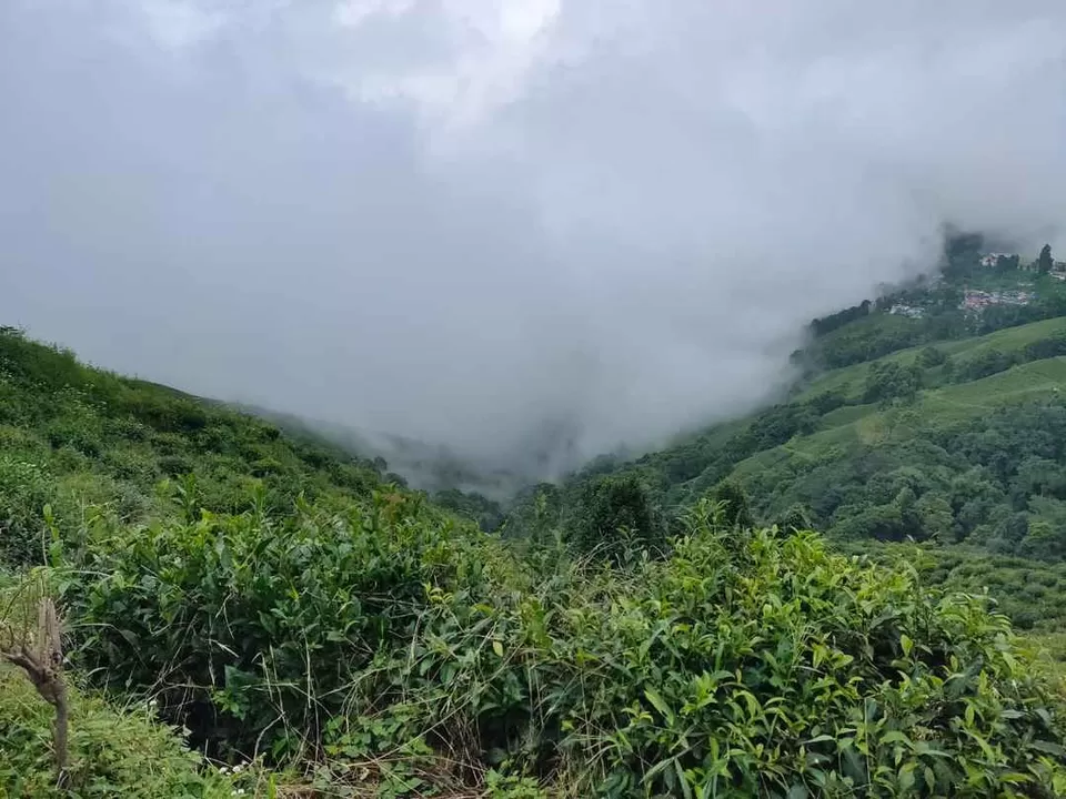Photo of Monsoon and Me: an impromptu trip to Darjeeling and Gangtok by The tales to tell