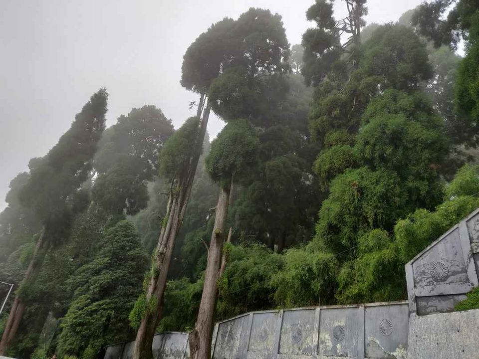 Photo of Monsoon and Me: an impromptu trip to Darjeeling and Gangtok by The tales to tell