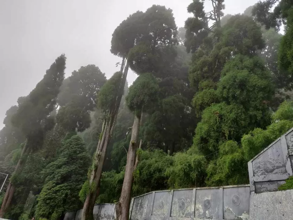 Photo of Monsoon and Me: an impromptu trip to Darjeeling and Gangtok by The tales to tell