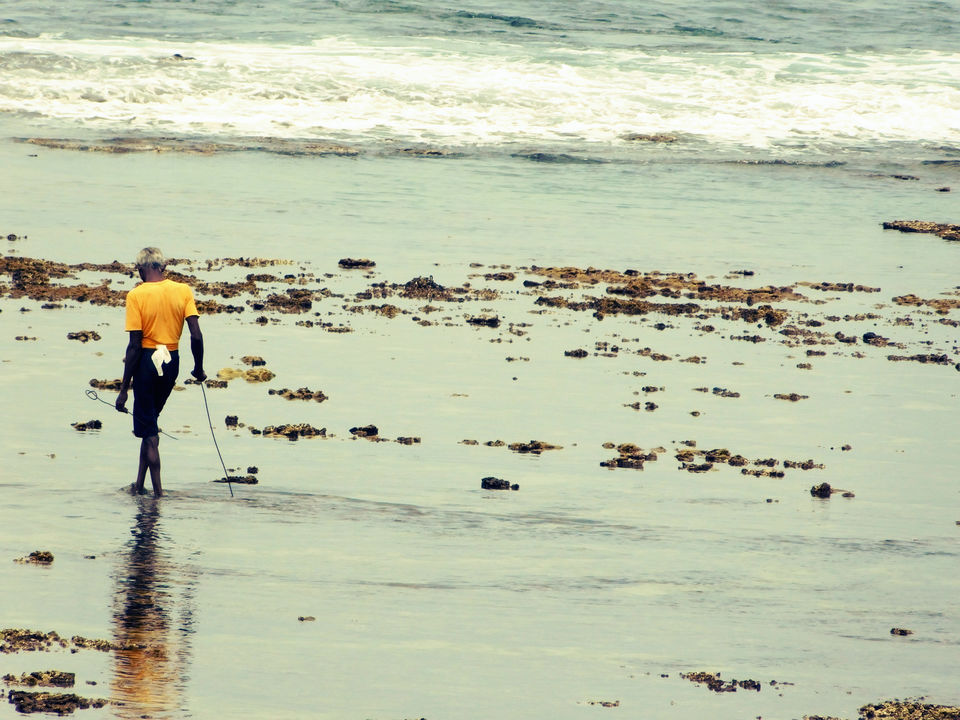 Photo of "Ayubowan" - The pearl of Indian Ocean - Sri Lanka (6D/7N) under 30k by Amit Kumar
