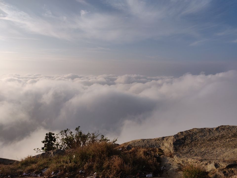 Photo of Nandi hills in winter !!! by navami