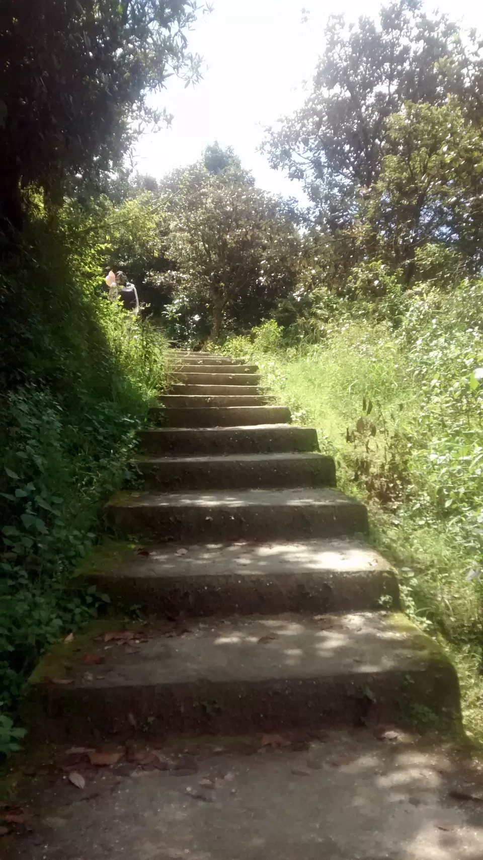 Photo of Shivapuri Nagarjun National Park, Sundarijal, Central Region, Nepal by Soumya Kandi