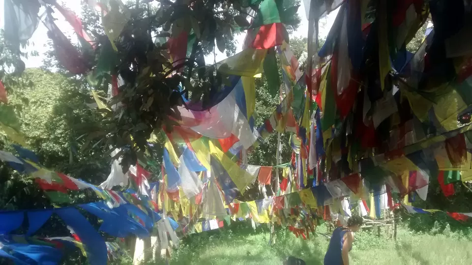 Photo of Shivapuri Nagarjun National Park, Sundarijal, Central Region, Nepal by Soumya Kandi