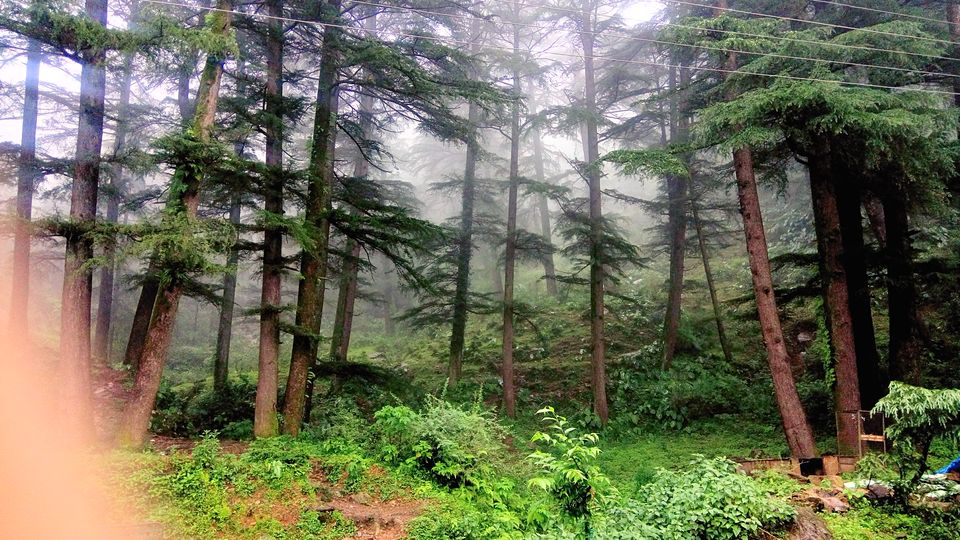 Photo of Bhagsunag Waterfall Dharmshala, Dharamshala, Himachal Pradesh, India by Ayush Tiwari