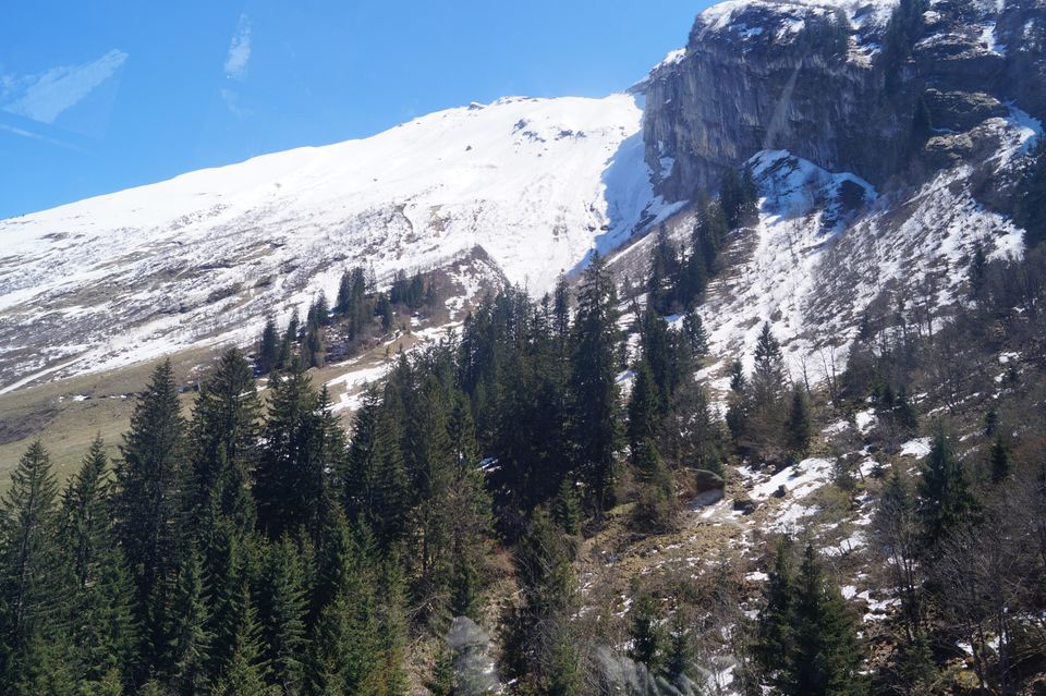 Photo of Lucern and Mt Titlis, Switzerland travel tales by nivedita meher