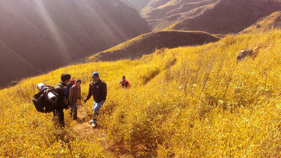 Photo of 4 Things You Should Definitely Include In Your Nagaland Tour Package 2/4 by Naurecamp