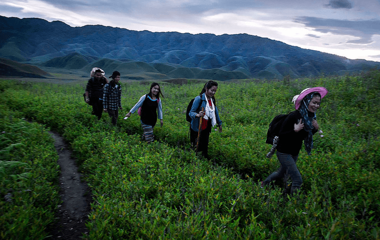 Photo of 4 Things You Should Definitely Include In Your Nagaland Tour Package 4/4 by Naurecamp
